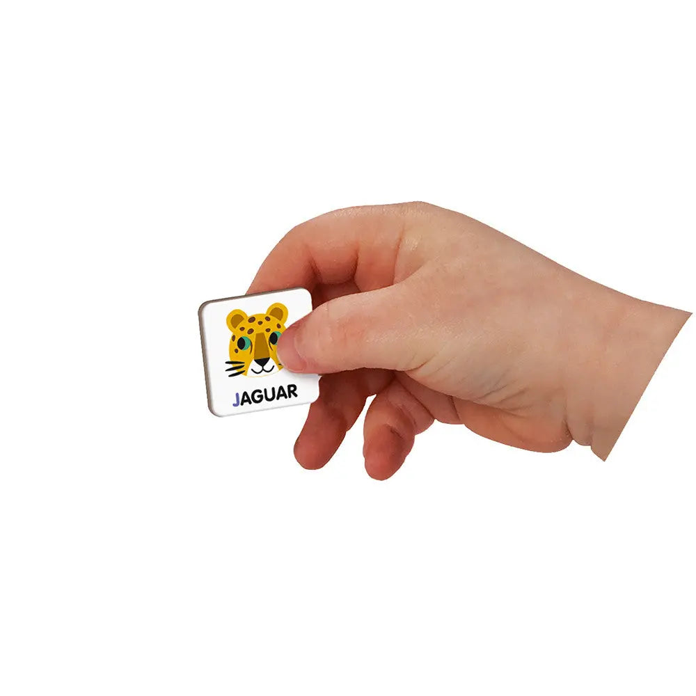 French Alphabet Magneti'Book - In French" Janod