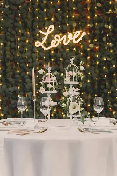 Garland Willow  2 m (Copy) Partydeco