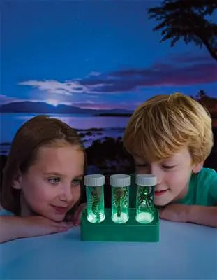 Glow Critter Lab Dam