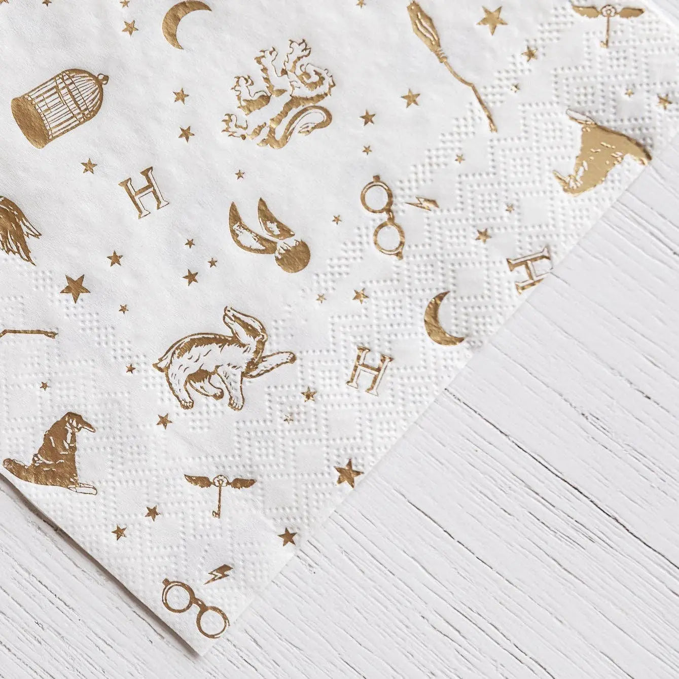 HARRY POTTER X BONJOUR FÊTE HOUSE PRIDE LARGE PARTY NAPKINS Bonjour Fête