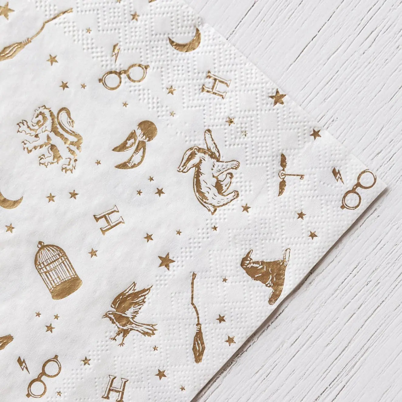 HARRY POTTER X BONJOUR FÊTE HOUSE PRIDE LARGE PARTY NAPKINS Bonjour Fête