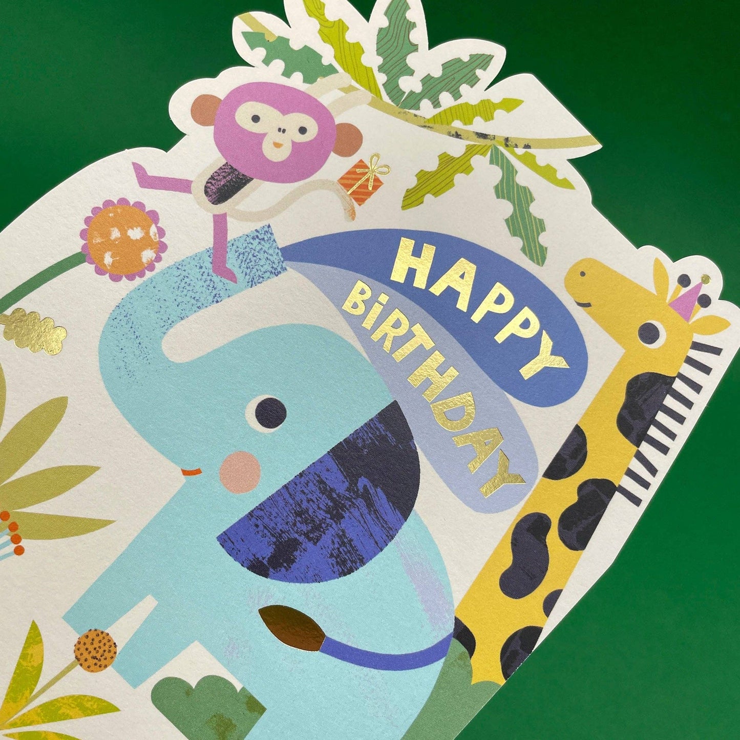 'Happy Birthday - Have a roaring day' childrens birthday card Raspberry Blossom