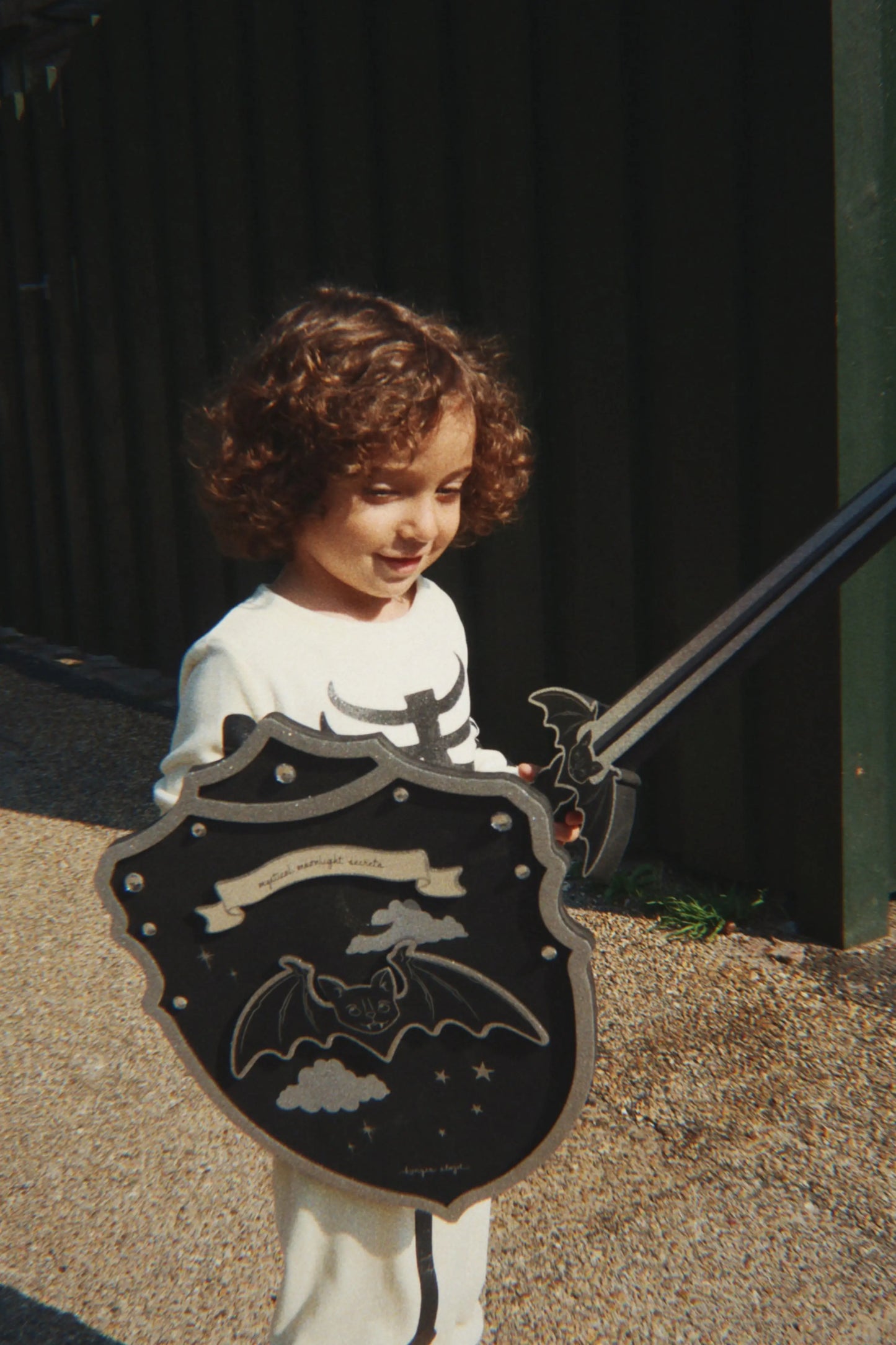 KS102192 Shield and Sword Konges Slojd