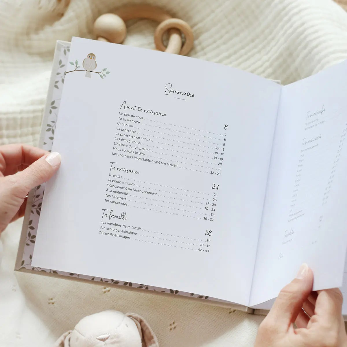 LIVRE SOUVENIRS DE BÉBÉ PREMIÈRE ANNÉE Zu-boutique