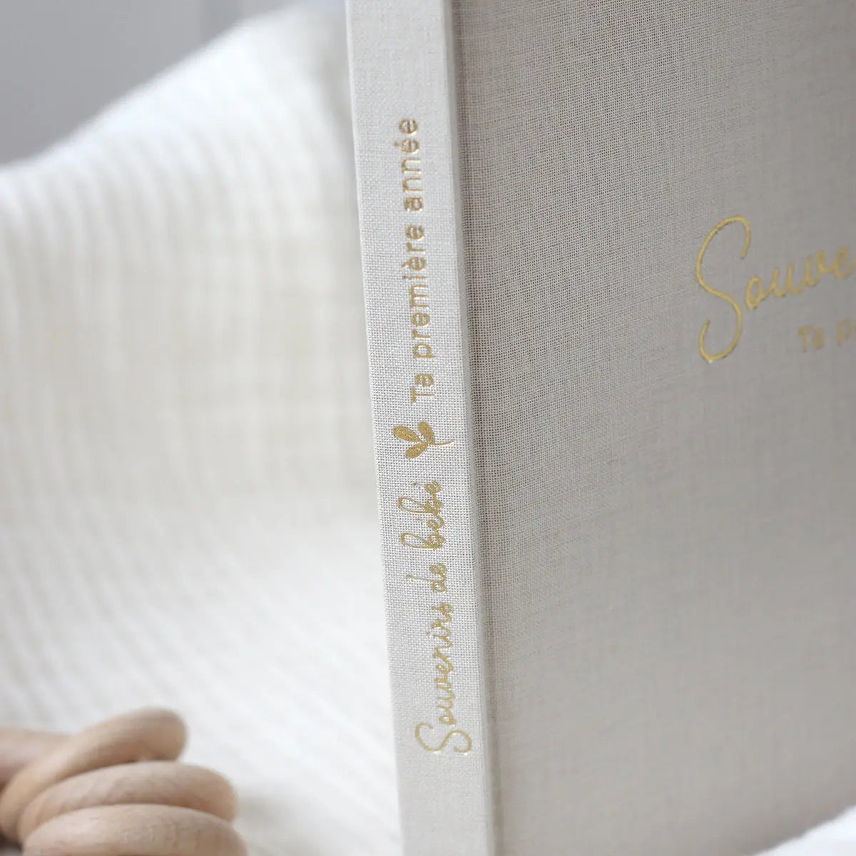 LIVRE SOUVENIRS DE BÉBÉ PREMIÈRE ANNÉE Zu-boutique