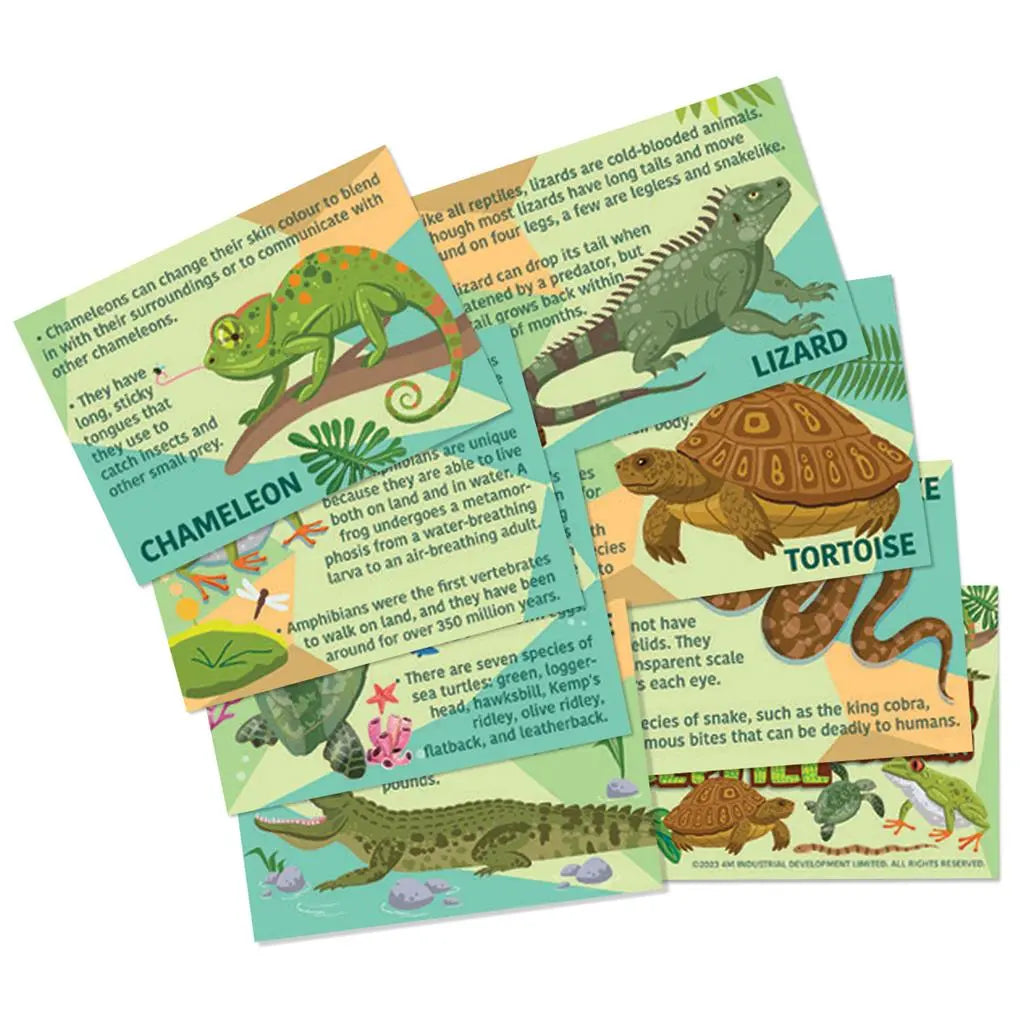 Mould And Paint Reptiles And Amphibians Dam