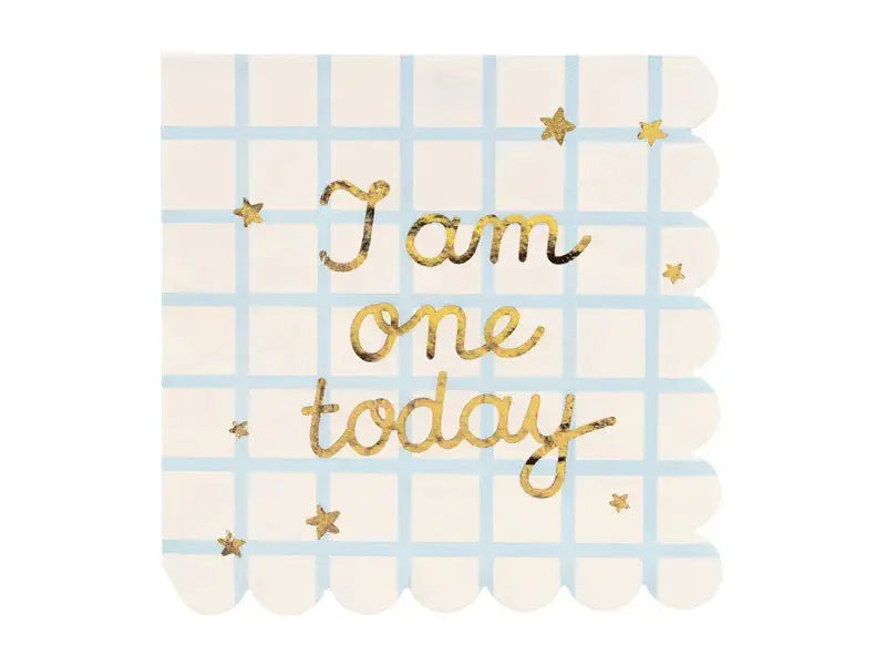 Napkins I am one today Teddy Bear Partydeco