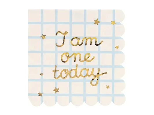 Napkins I am one today Teddy Bear Partydeco