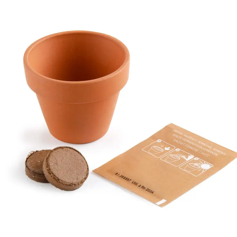 Nature Card - Dragon - Cayenne Pepper Radis et Capucine