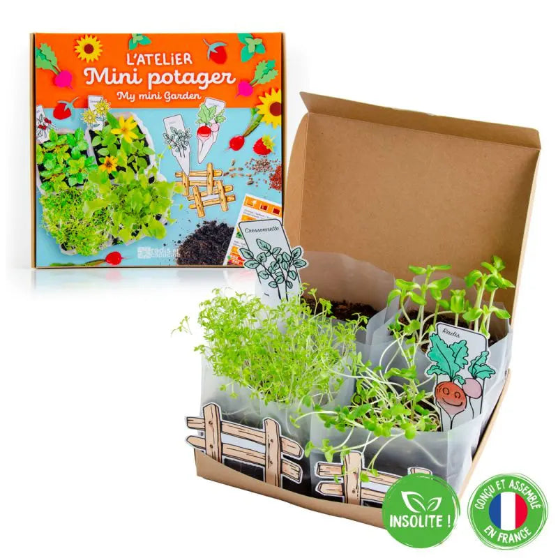 Organic Mini Vegetable Garden Set Radis et Capucine