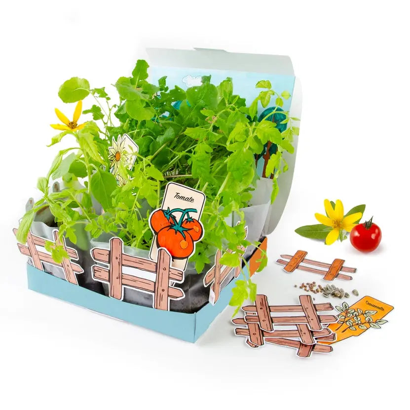 Organic Mini Vegetable Garden Set Radis et Capucine