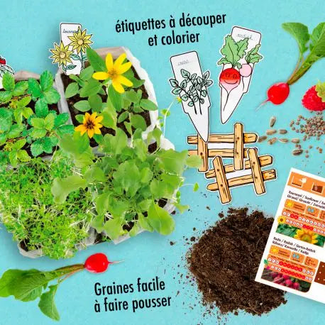 Organic Mini Vegetable Garden Set Radis et Capucine