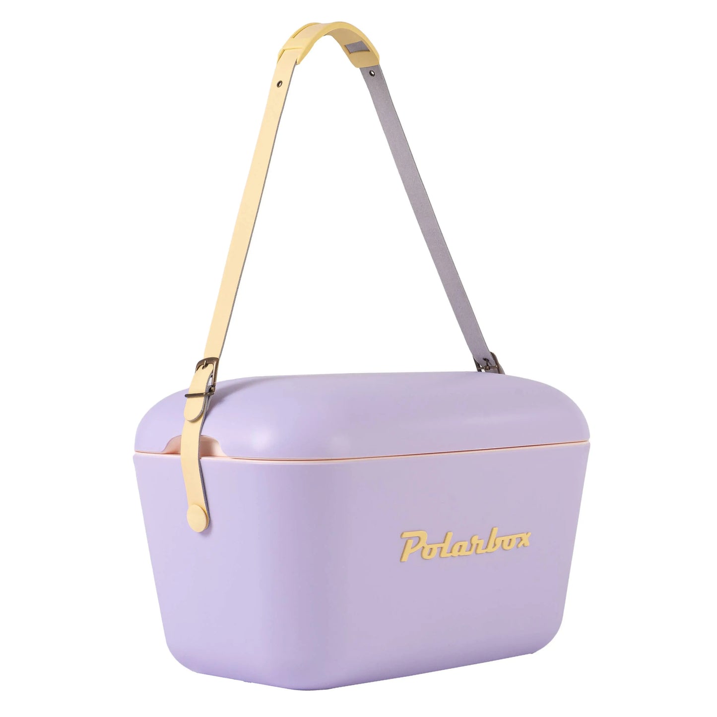 Polarbox cool box 20 L beach picnic summer retro: Purple Schäfer Brand Distribution GmbH