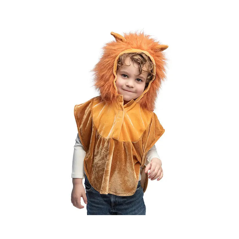 Poncho Lion Costume 3-4 years Boland