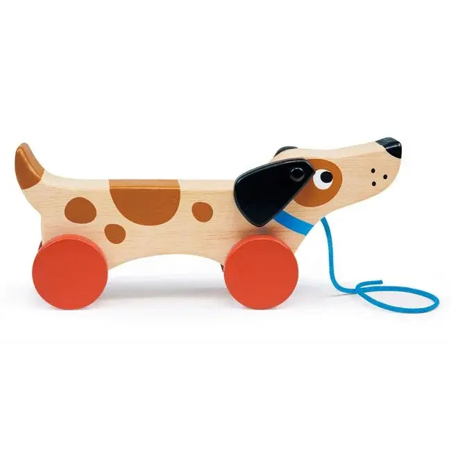 Puppy On Wheels mentari