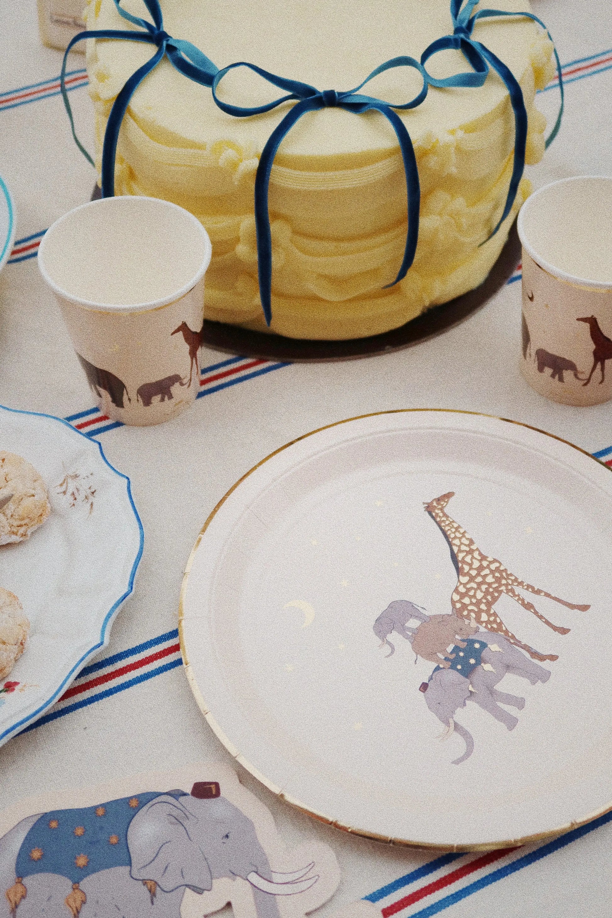 Safari Cups FSC Konges Slojd