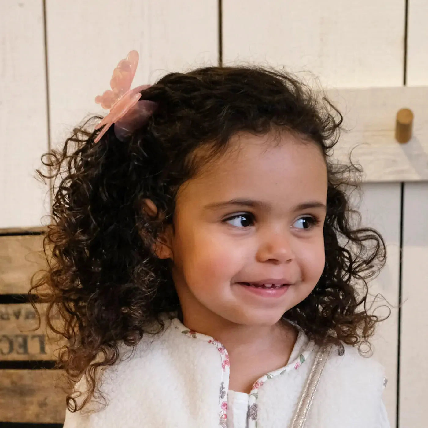 Shimmer Butterfly Claw Clip Rockahula