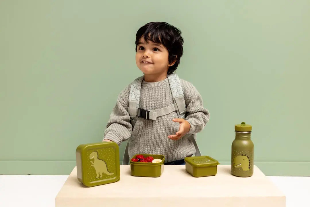 Snack box nesting - 3pcs - Mr. Dino Trixie