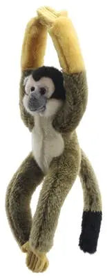 Squirrel Monkey – Canopy Climbers Wilberry