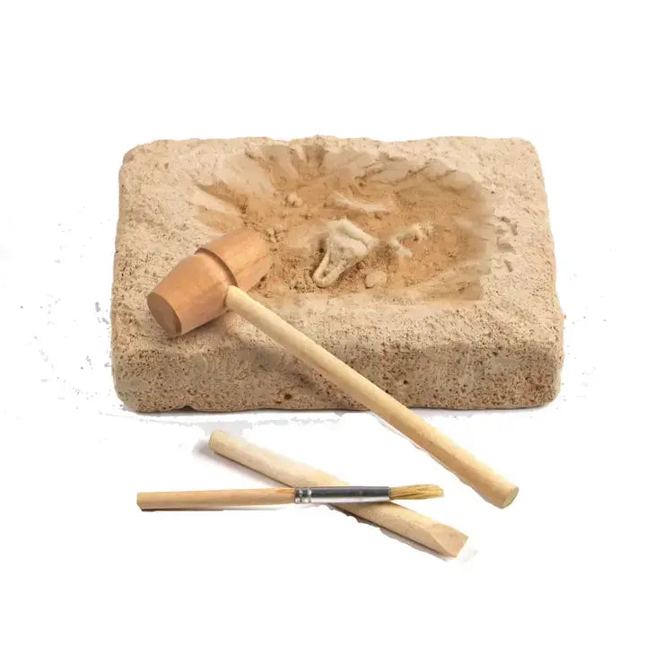 Tin Set - Discover Dinosaurs Robert Frederick Ltd