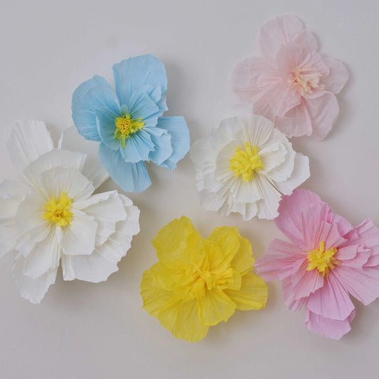 Tissue Paper Flowers Ginger Ray