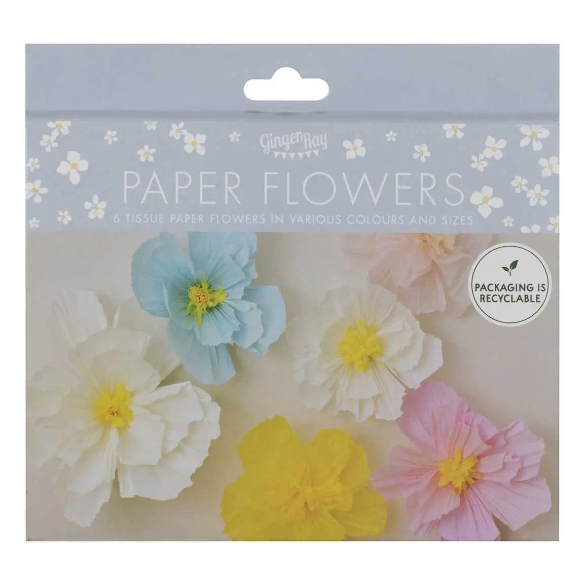 Tissue Paper Flowers Ginger Ray