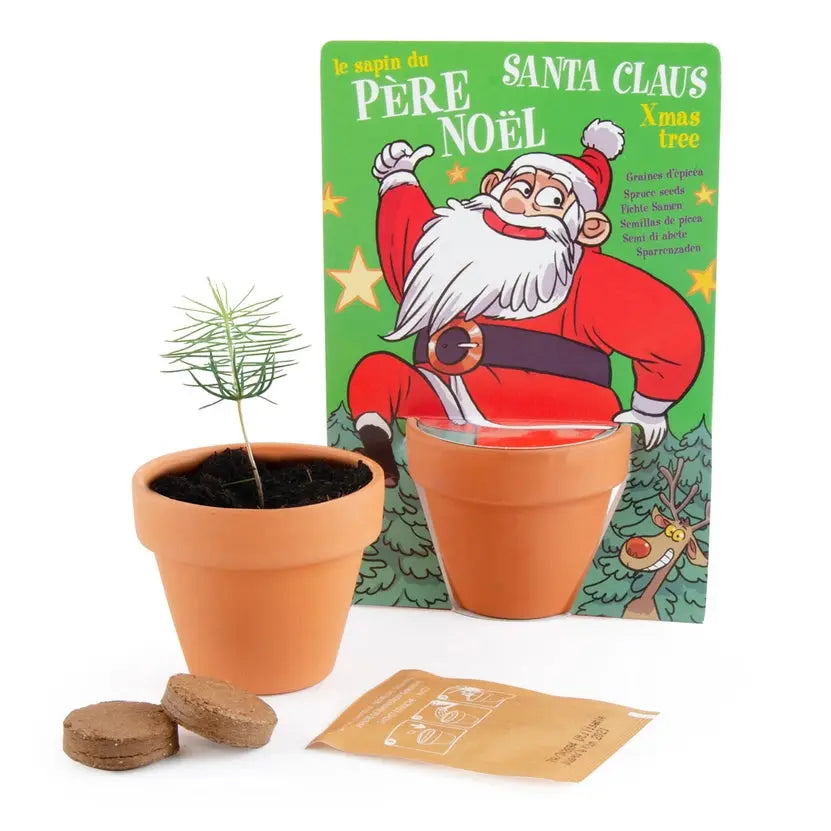Top Noel - Nature Card - Santa Claus - Pine Radis et Capucine