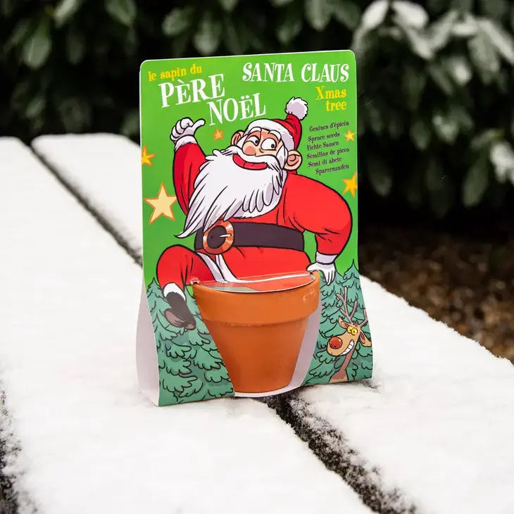 Top Noel - Nature Card - Santa Claus - Pine Radis et Capucine