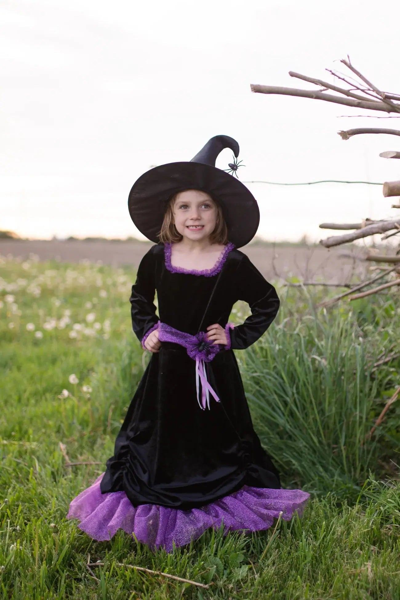 Vera the velvet witch dress with hat Great Pretenders