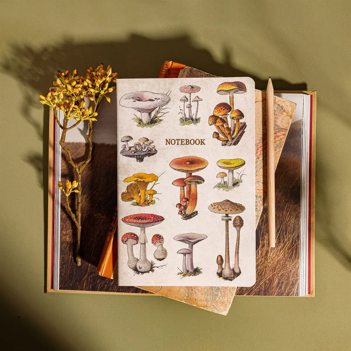 Vintage Mushrooms A5 Notebook SASS AND BELLE