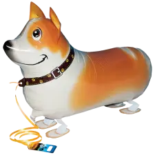 Walking Balloon Corgi "21 Balloons World Store