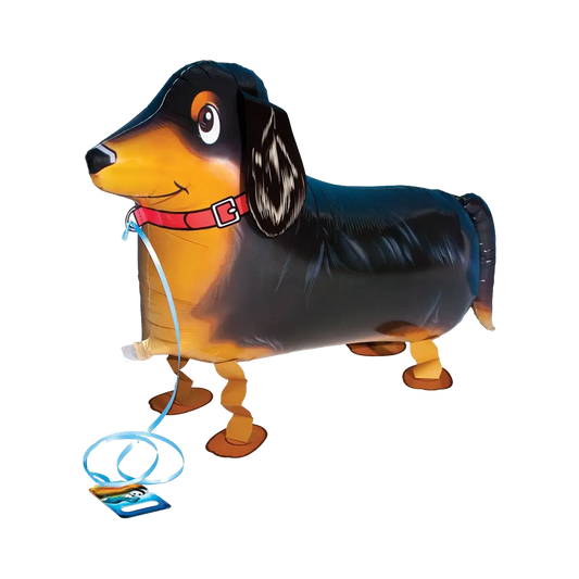 Walking Balloon  Dachshund "27 Balloons World Store