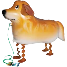 Walking Balloon  Golden Retriever "29 Balloons World Store