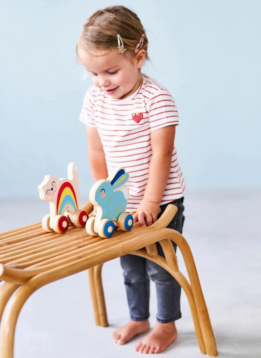 Wooden push toy cat Petit Monkey