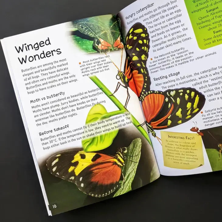 World of Discovery Box Set - Bugs Robert Frederick Ltd