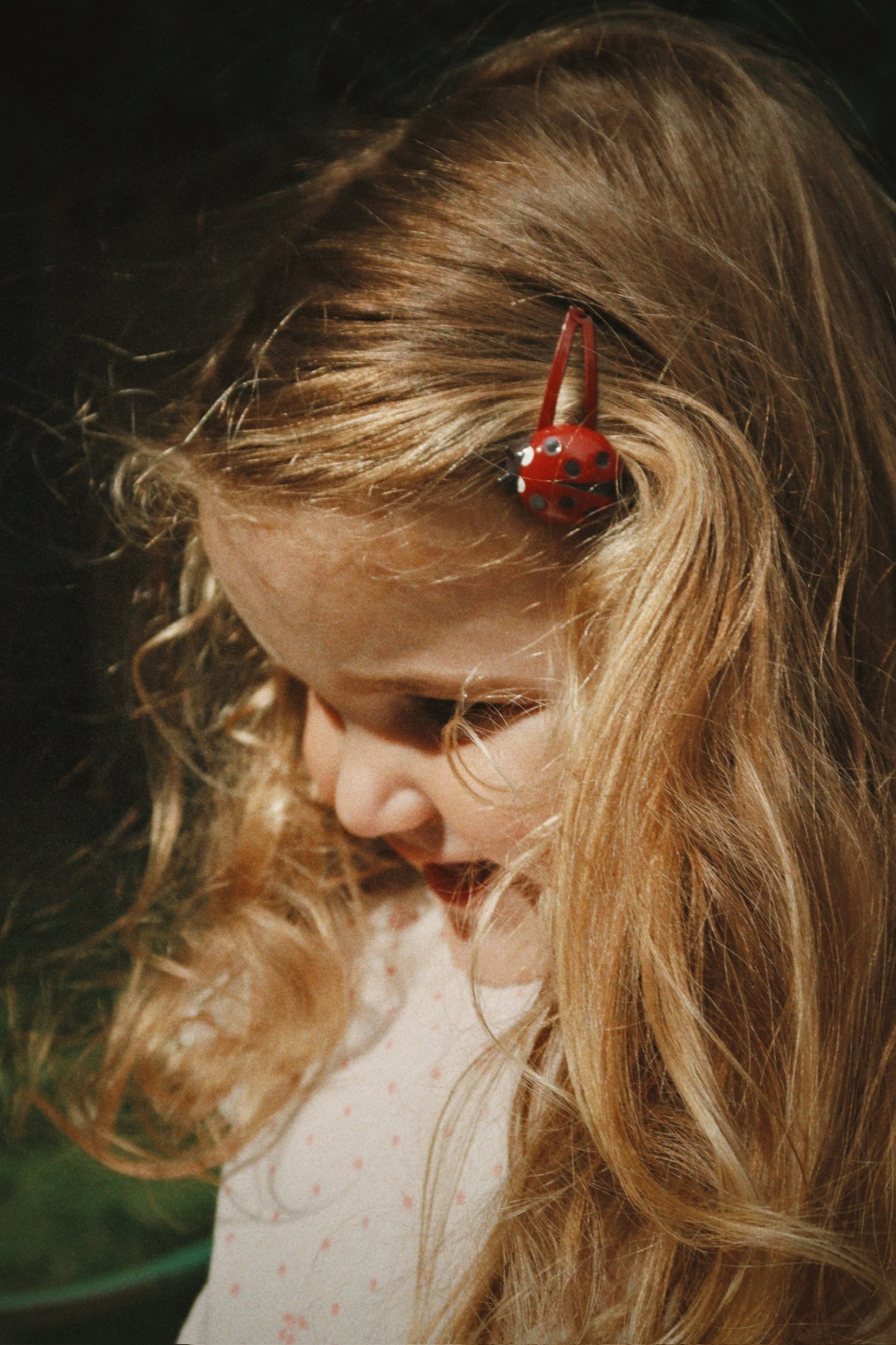LADYBUG 4 PACK HAIR CLIPS