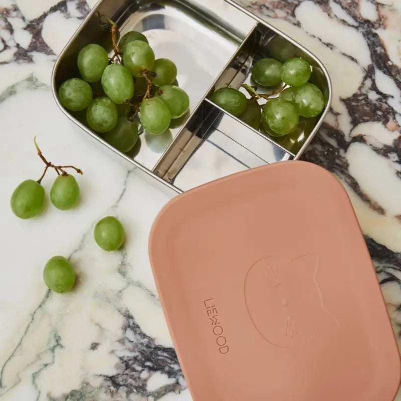 Arthur Lunch Box - Cat Dark Rose LieWood