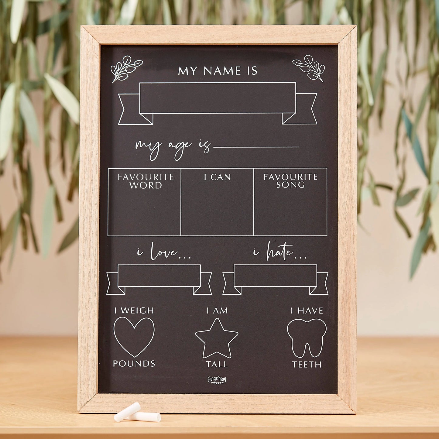 Baby Milestone Chalkboard Sign Ginger Ray