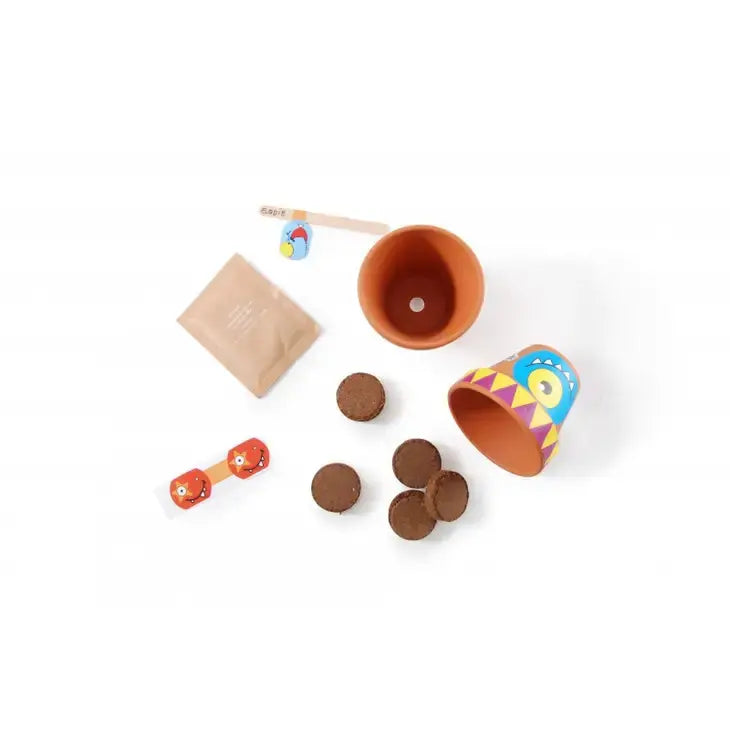 Birthday Box - 10 Little Monster Jars Radis et Capucine