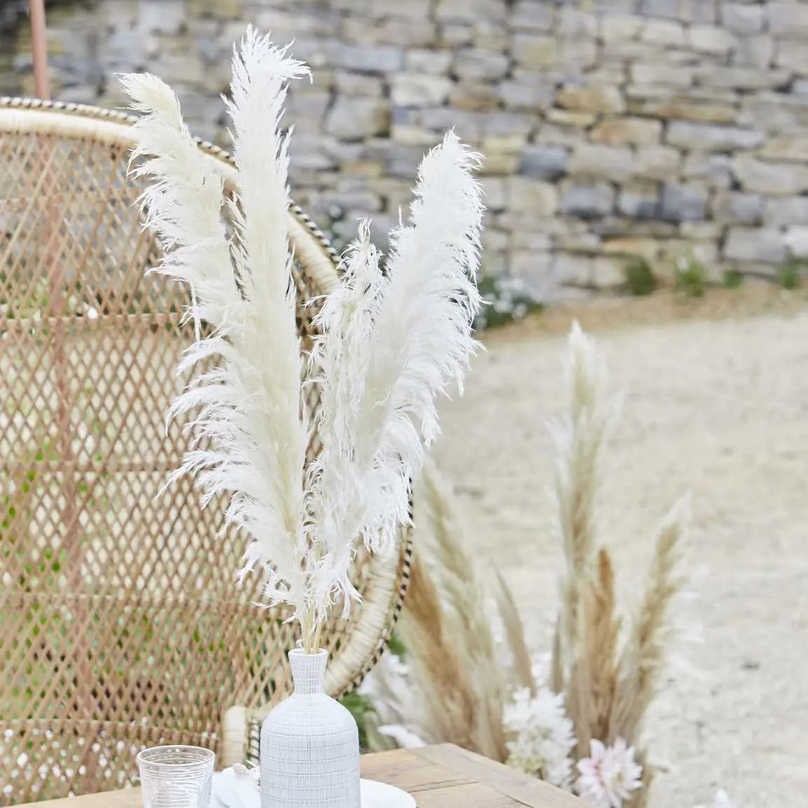 Bleached Pampas Grass Decorations Ginger Ray
