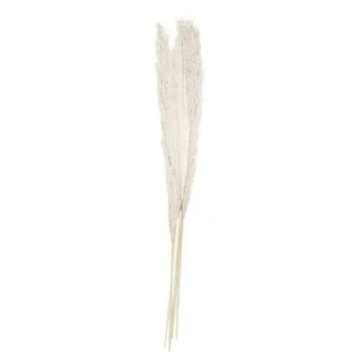 Bleached Pampas Grass Decorations Ginger Ray