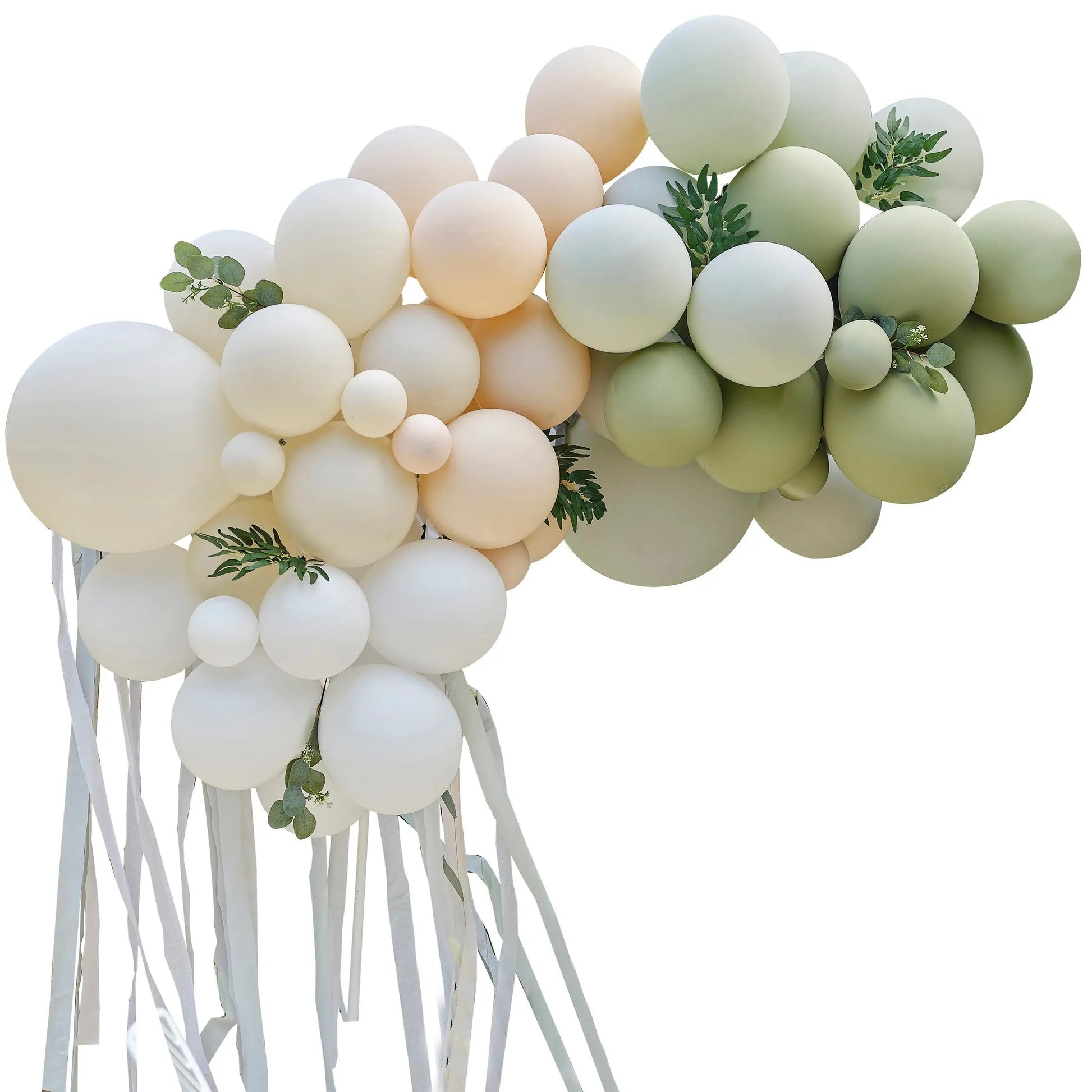 Botanical balloon arch with eucalyptus and sage leaves and streamers Ginger Ray