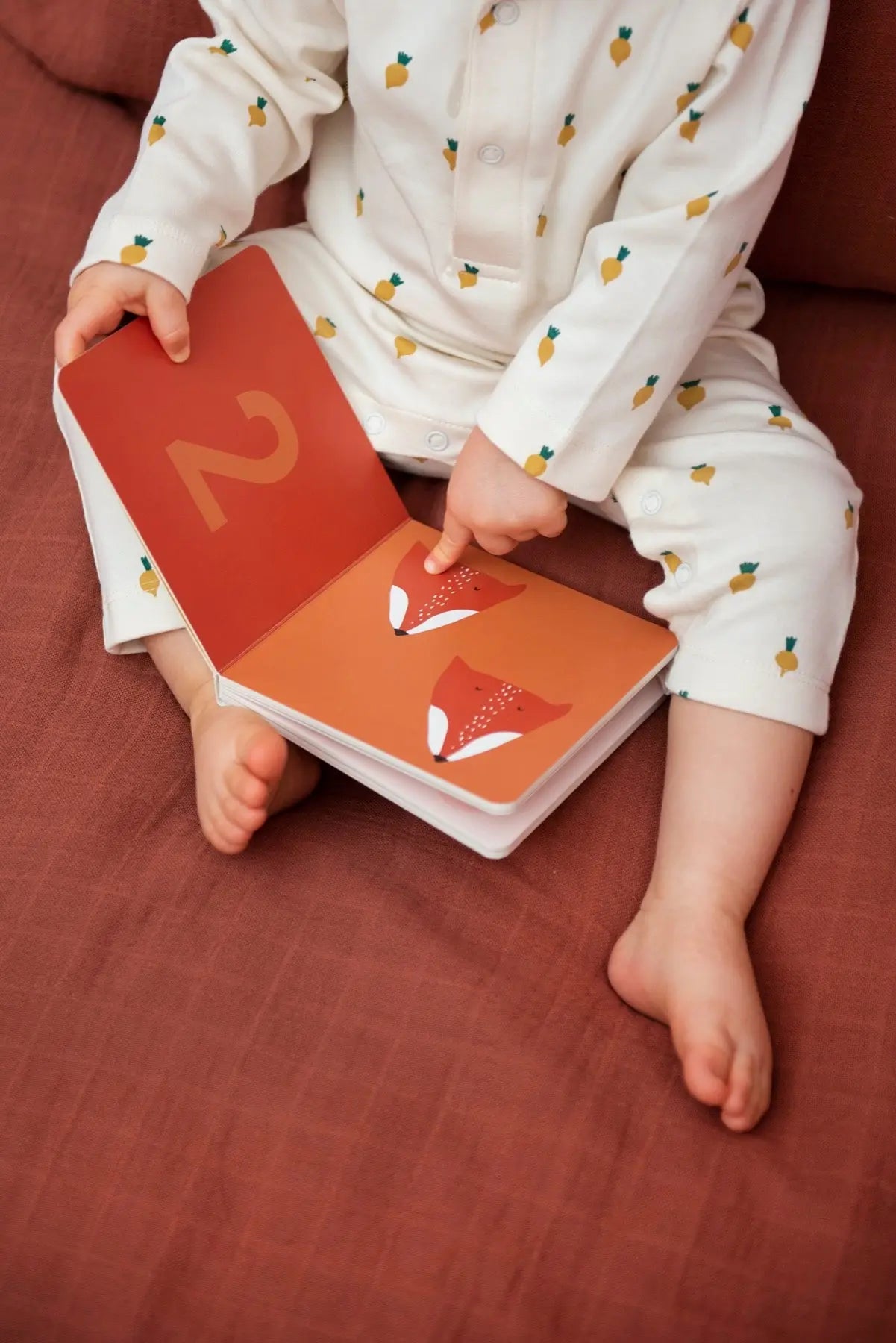 Counting book Trixie