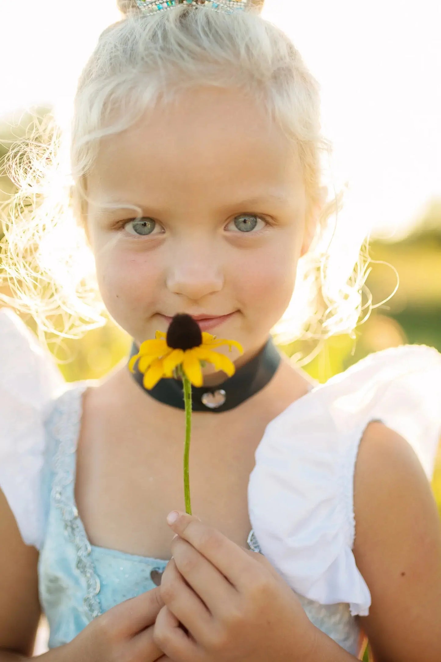 Deluxe Cinderella Great Pretenders