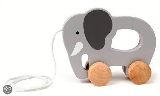 Elephant Creative Party & Anniversary House