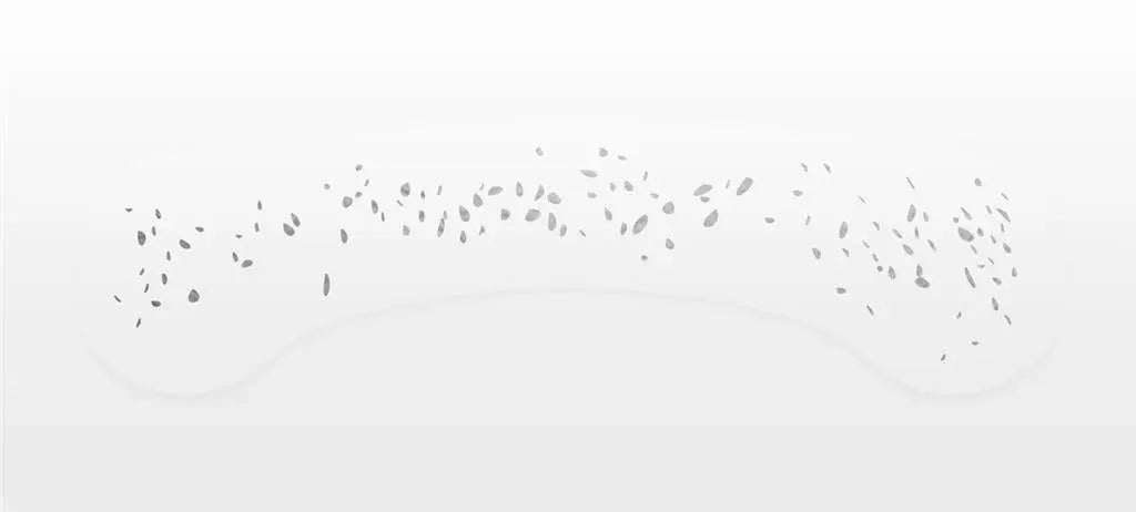 FACE TATTOO FRECKLES Snails