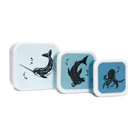 Lunch box set sea animal Petit Monkey