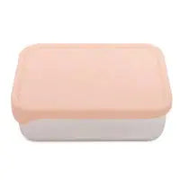 Lunch box stainless steel Riley dawn rose Petit Monkey