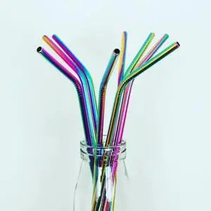Rainbow Stainless Steel Straw Ginger Ray