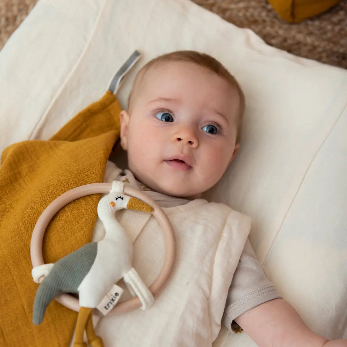 Rattle - Heron Trixie